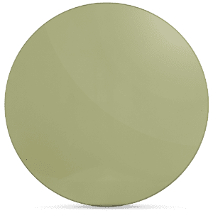 tinted-fashion-sun-moss