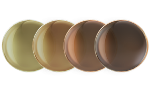 transitions-drivwear