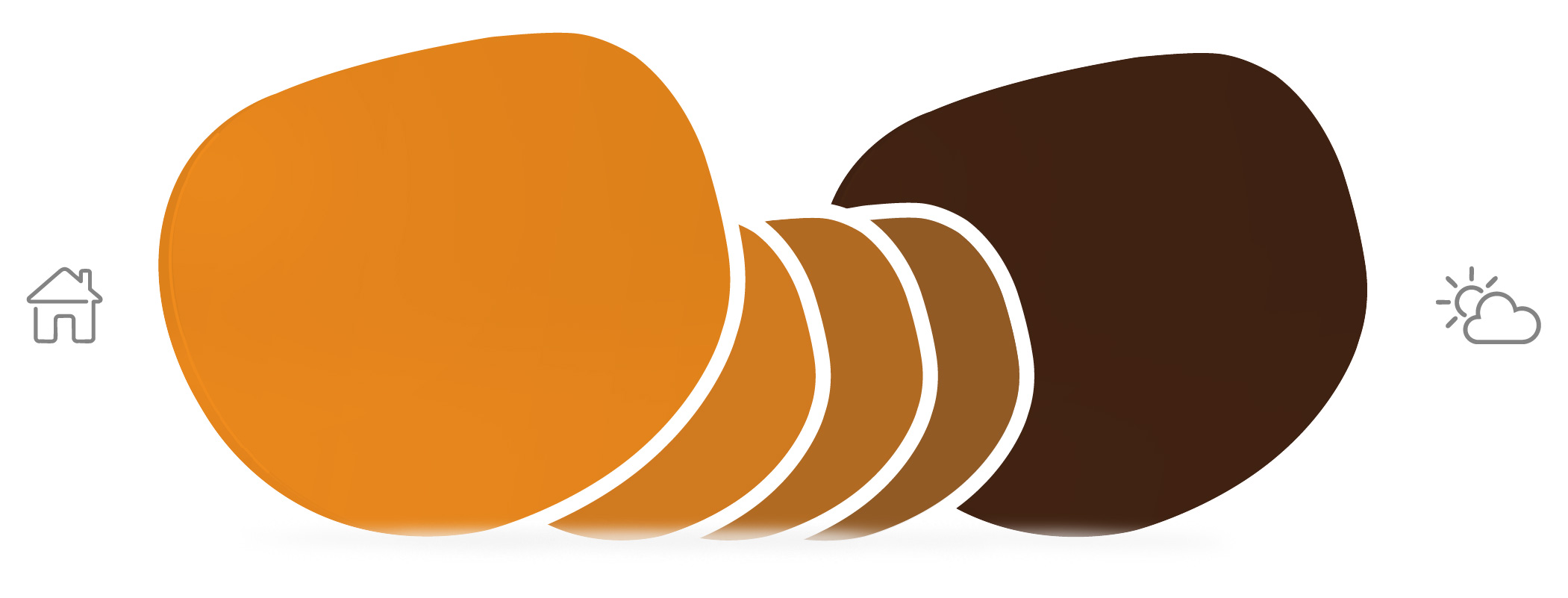 transitionvelvatint_lenses_browntangerine