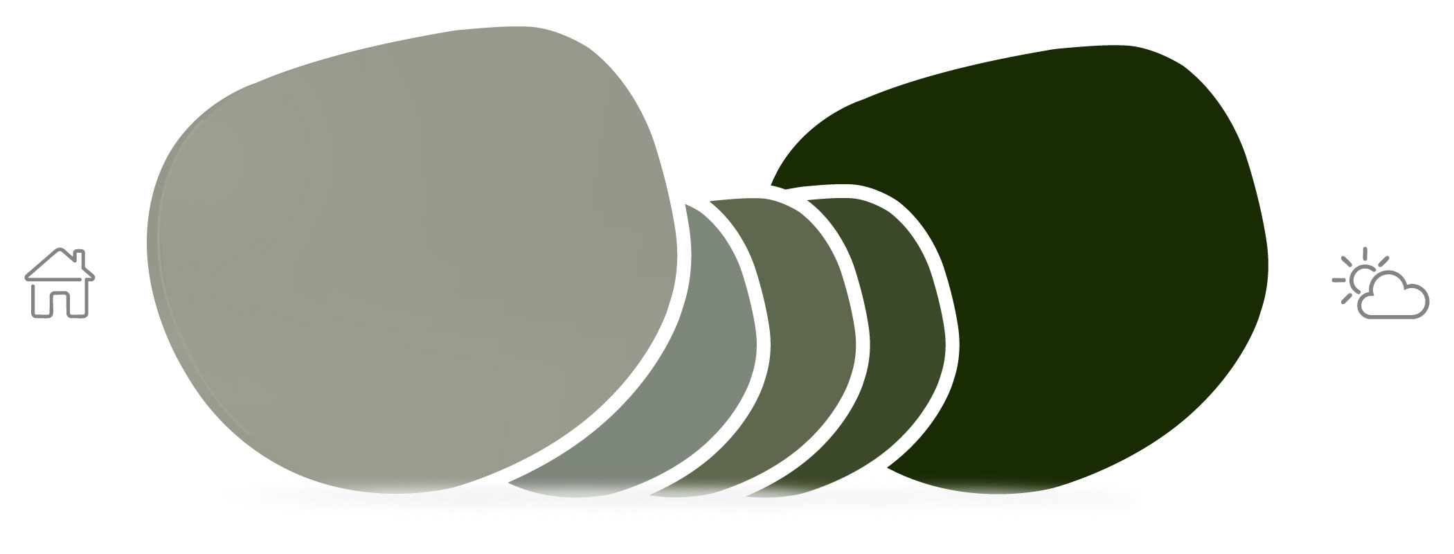 transitionvelvatint_lenses_graphitegreenlightgraphitegreen